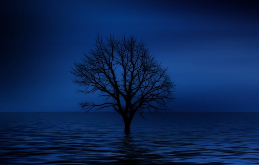 A picture of a lonely tree at midnight