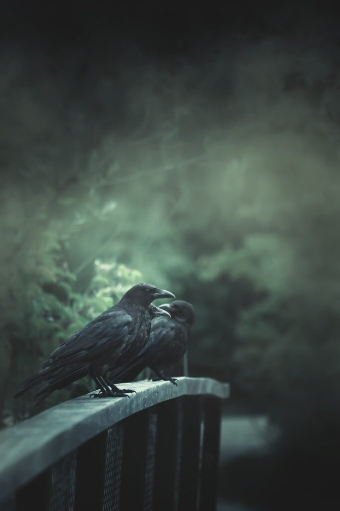 Two black ravens perched on a wooden railing in a foggy, dark forest, capturing the eerie essence of a digital haunting and the lingering ghosts of a past relationship.